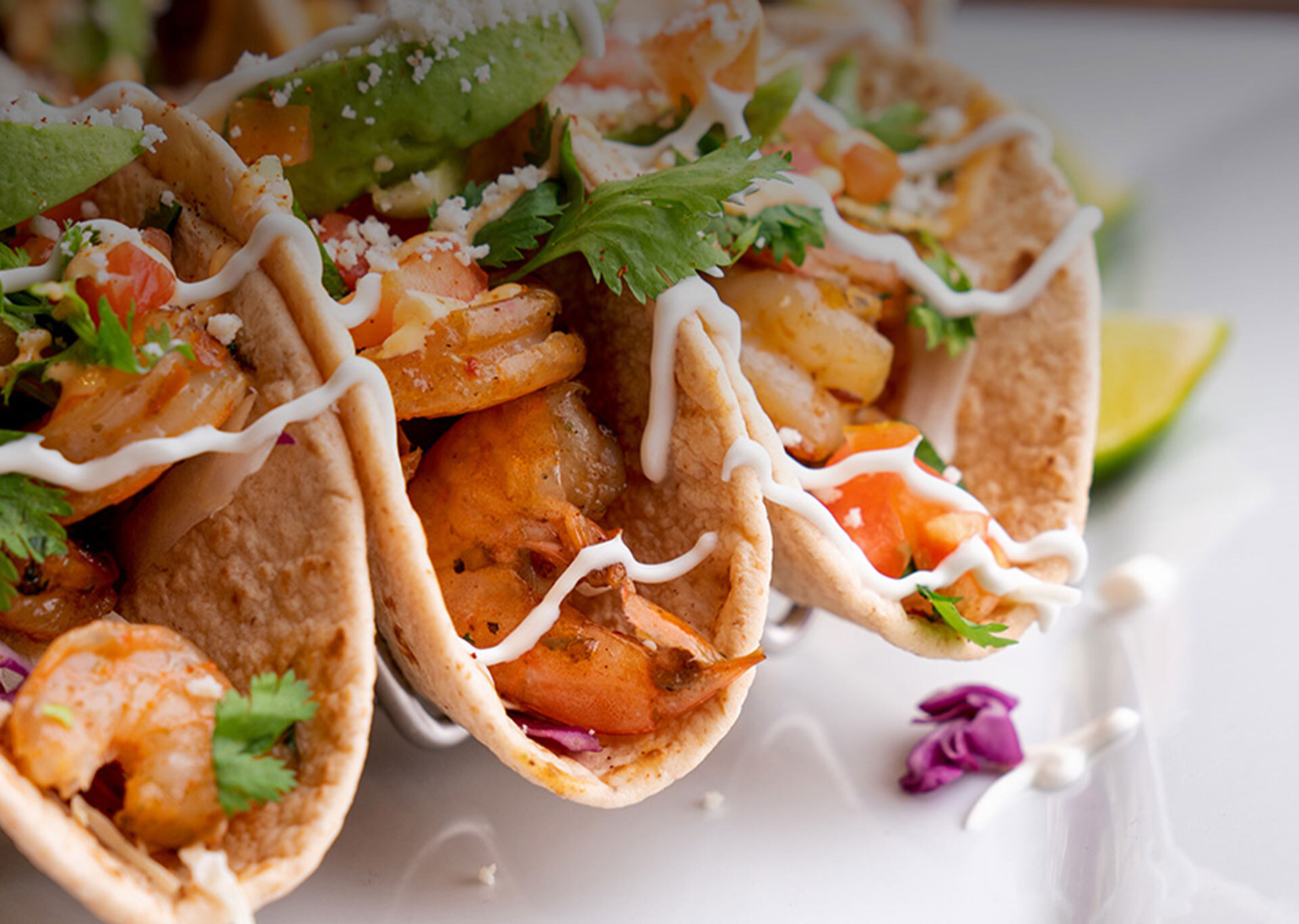 M crepes de camarao alho poro e palmito ao molho de requeijao